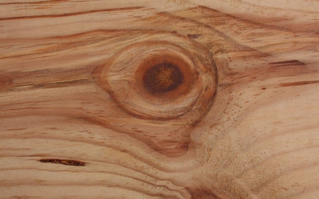 Che cos’è il legno massello e come valorizzarlo